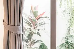 米兰体育首页-勒沃库森今年为何如此之猛