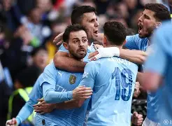 米兰体育官网-足总杯一共多少轮